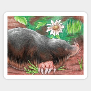 Cute Mole Digging - Full Sticker